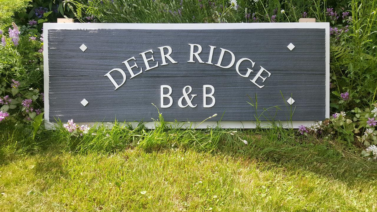 Deer Ridge B&B Golden Extérieur photo