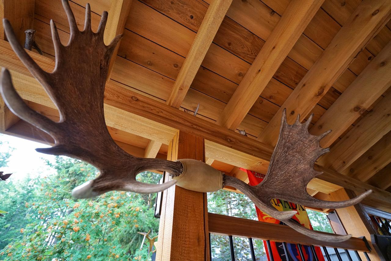 Deer Ridge B&B Golden Extérieur photo