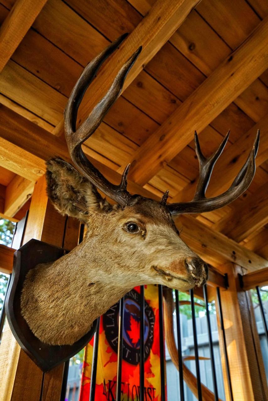 Deer Ridge B&B Golden Extérieur photo